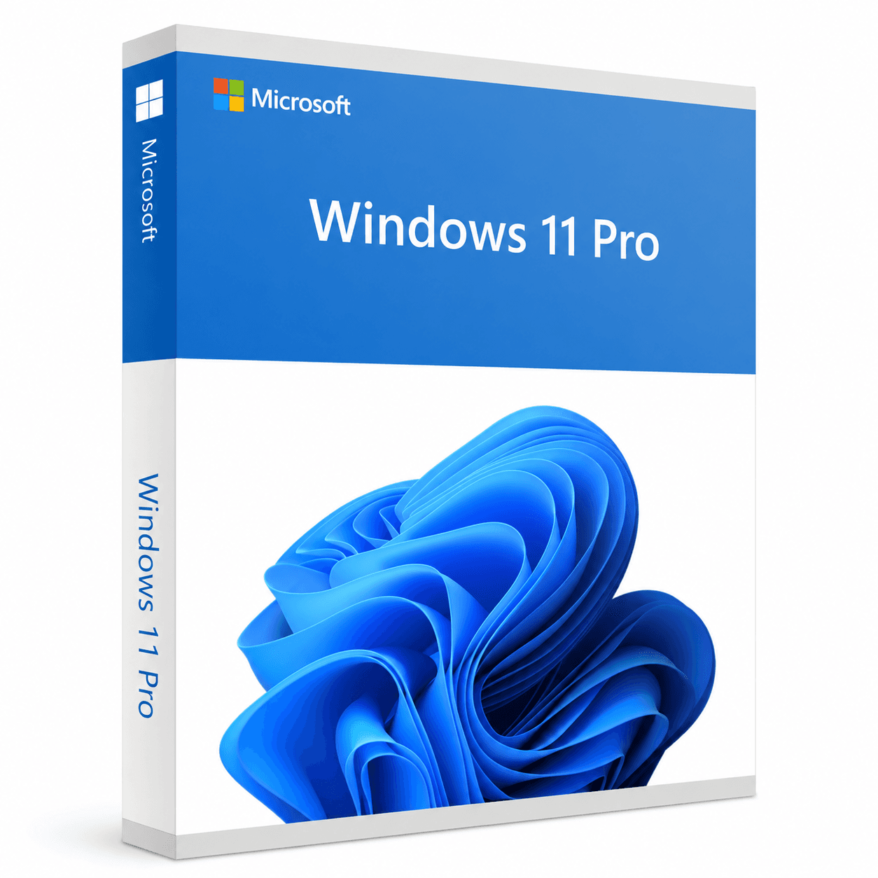 Windows 10 Pro