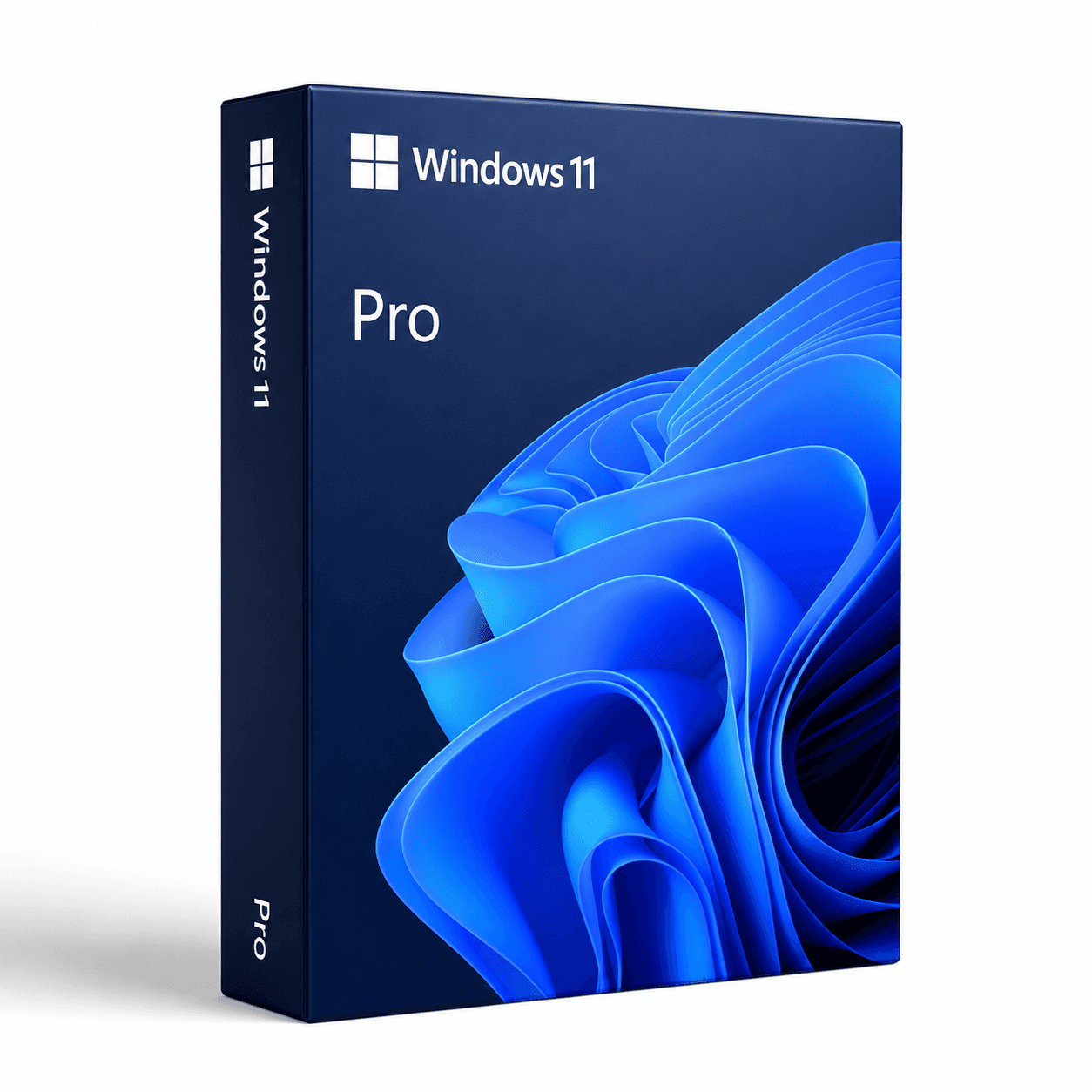 Windows 11 Pro